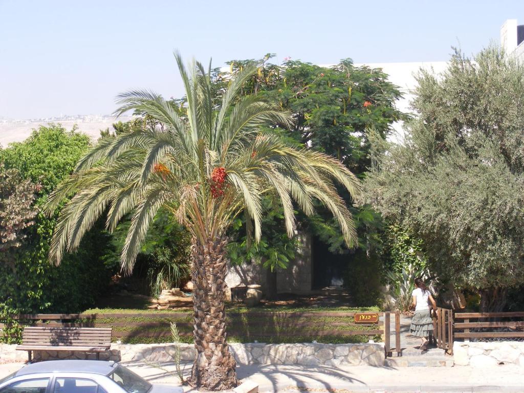 Nof Canaan Kfar Adumim Bagian luar foto
